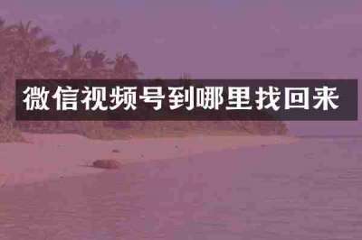 微信视频号到哪里找回来