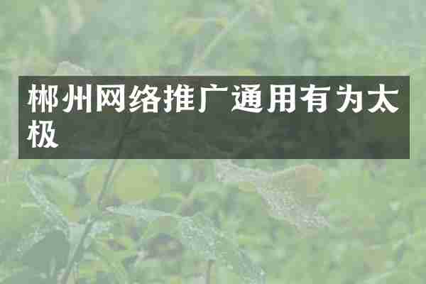 郴州网络推广通用有为太极
