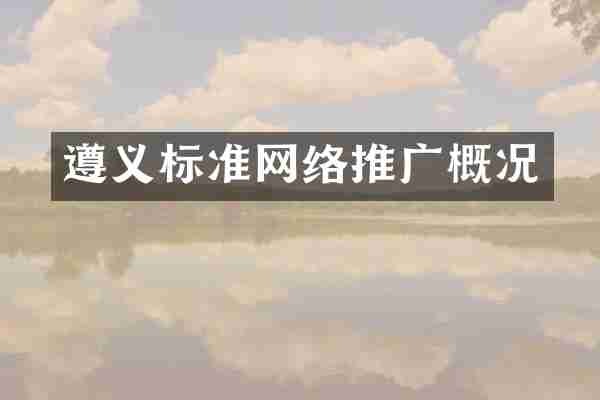 遵义标准网络推广概况