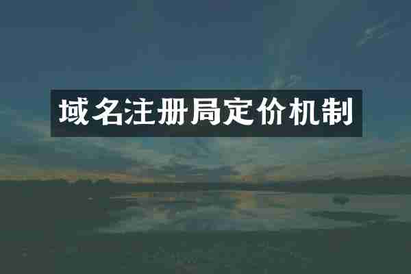 域名注册局定价机制