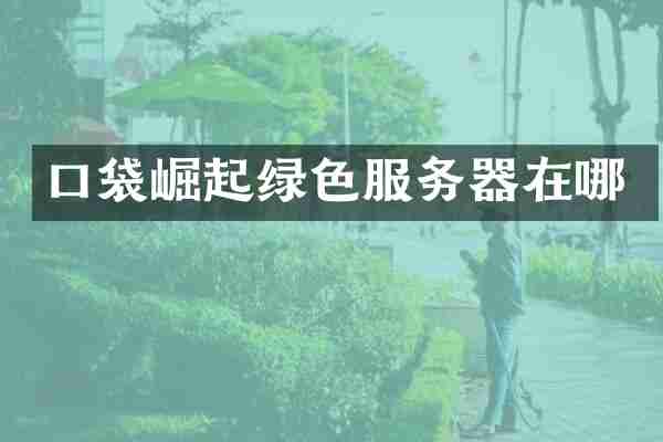 口袋崛起绿色服务器在哪