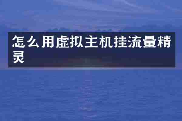怎么用虚拟主机挂流量精灵