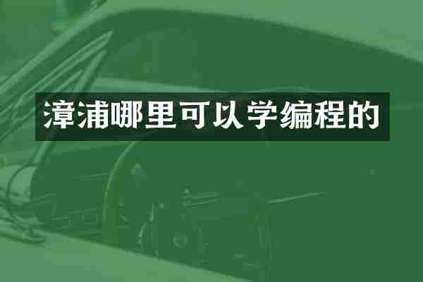 漳浦哪里可以学编程的