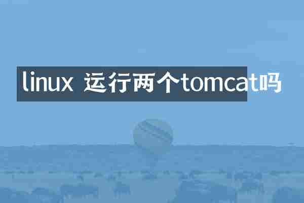 linux 运行两个tomcat吗
