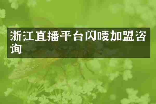浙江直播平台闪唛加盟咨询