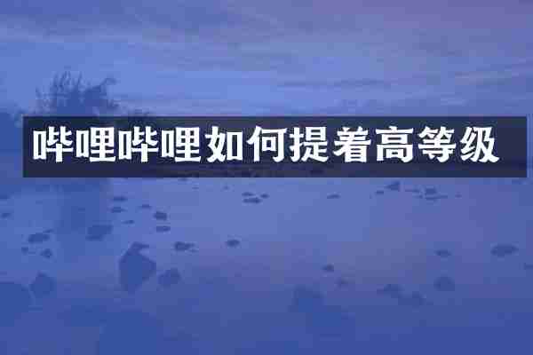 哔哩哔哩如何提着高等级