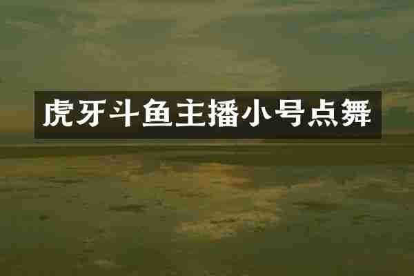 虎牙斗鱼主播小号点舞