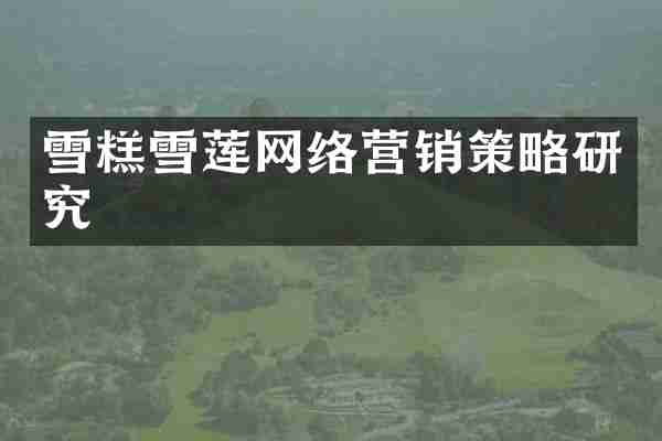 雪糕雪莲网络营销策略研究