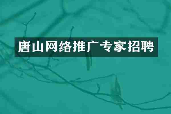 唐山网络推广专家招聘