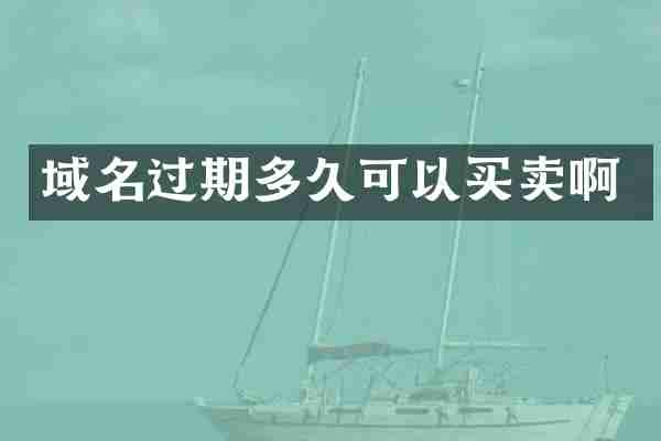 域名过期多久可以买卖啊