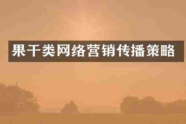 果干类网络营销传播策略