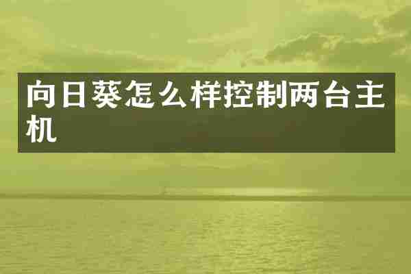 向日葵怎么样控制两台主机