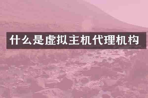 什么是虚拟主机代理机构