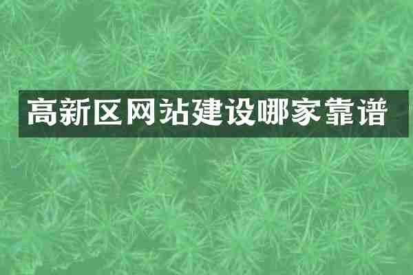 高新区网站建设哪家靠谱
