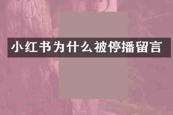 小红书为什么被停播留言