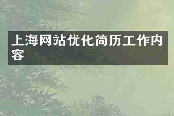 上海网站优化简历工作内容