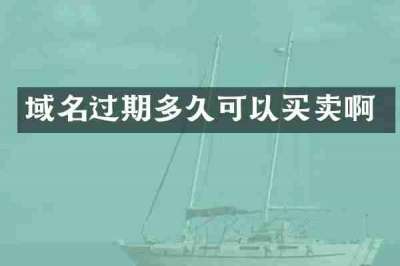 域名过期多久可以买卖啊
