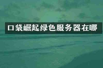口袋崛起绿色服务器在哪