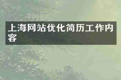 上海网站优化简历工作内容