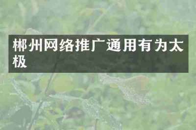 郴州网络推广通用有为太极