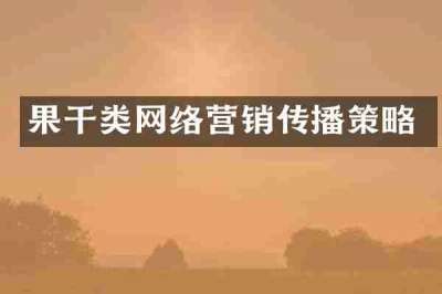 果干类网络营销传播策略