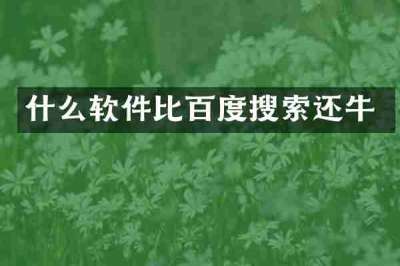 什么软件比百度搜索还牛
