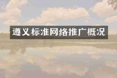 遵义标准网络推广概况