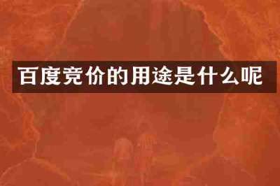 百度竞价的用途是什么呢