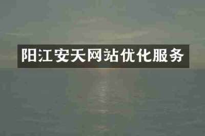 阳江安天网站优化服务