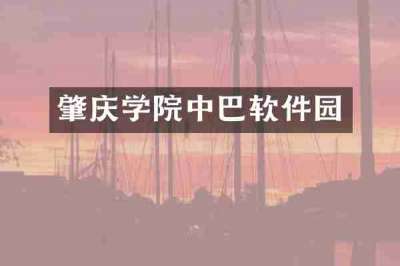 肇庆学院中巴软件园