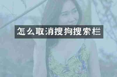 怎么取消搜狗搜索栏