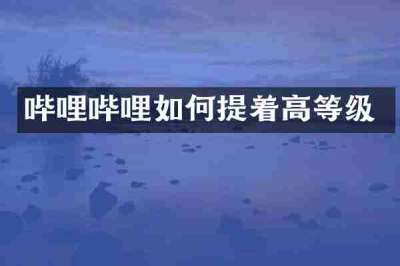 哔哩哔哩如何提着高等级