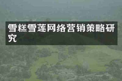 雪糕雪莲网络营销策略研究