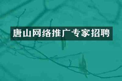 唐山网络推广专家招聘