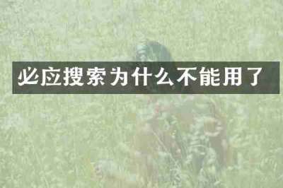必应搜索为什么不能用了