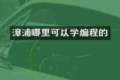 漳浦哪里可以学编程的
