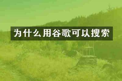 为什么用谷歌可以搜索