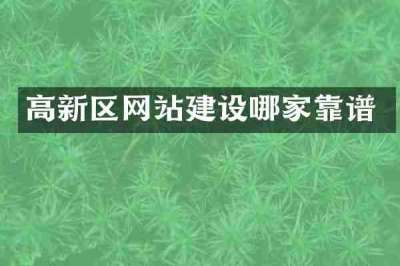 高新区网站建设哪家靠谱