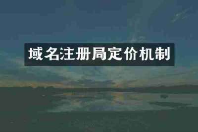 域名注册局定价机制