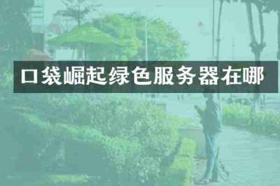 口袋崛起绿色服务器在哪