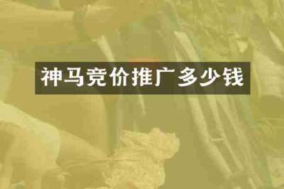神马竞价推广多少钱