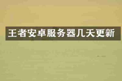 王者安卓服务器几天更新