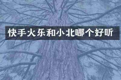 快手火乐和小北哪个好听