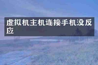 虚拟机主机连接手机没反应