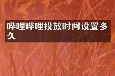 哔哩哔哩投放时间设置多久