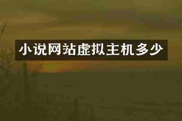 小说网站虚拟主机多少
