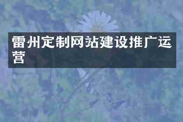 雷州定制网站建设推广运营