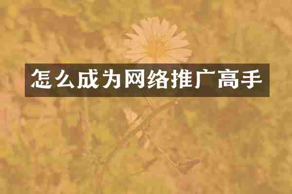 怎么成为网络推广高手