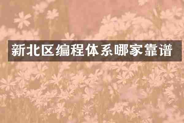 新北区编程体系哪家靠谱