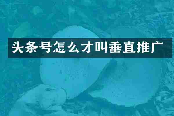 头条号怎么才叫垂直推广